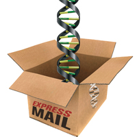 DNA in express mail delivery box